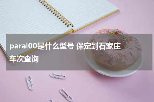 paral00是什么型号 保定到石家庄车次查询