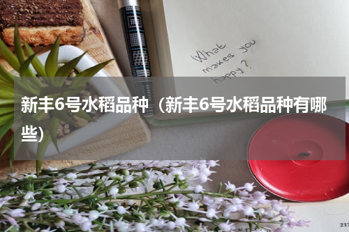 新丰6号水稻品种（新丰6号水稻品种有哪些）