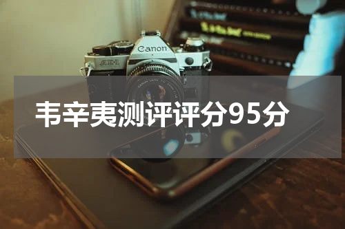 韦辛夷测评评分95分