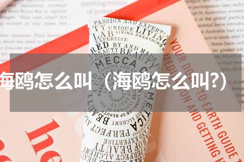 海鸥怎么叫（海鸥怎么叫?）
