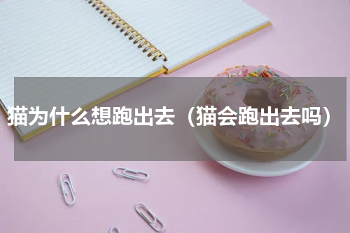 猫为什么想跑出去（猫会跑出去吗）