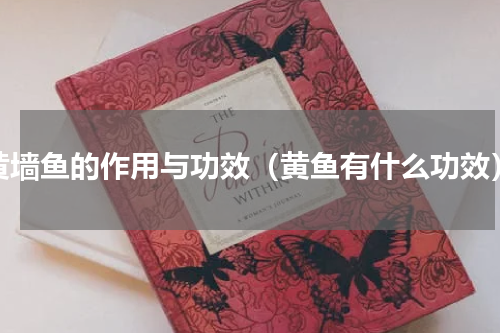 黄墙鱼的作用与功效（黄鱼有什么功效）