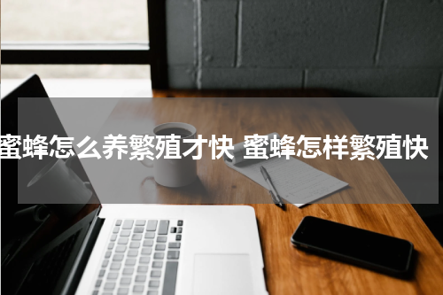 蜜蜂怎么养繁殖才快 蜜蜂怎样繁殖快