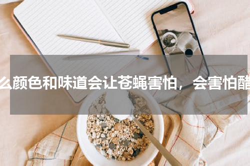 什么颜色和味道会让苍蝇害怕，会害怕醋吗