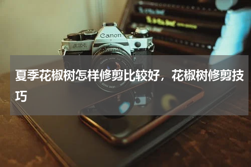 夏季花椒树怎样修剪比较好，花椒树修剪技巧