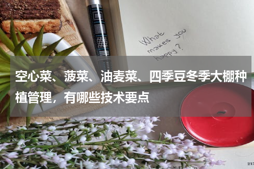 空心菜、菠菜、油麦菜、四季豆冬季大棚种植管理，有哪些技术要点