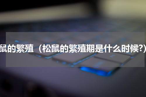 松鼠的繁殖（松鼠的繁殖期是什么时候?）