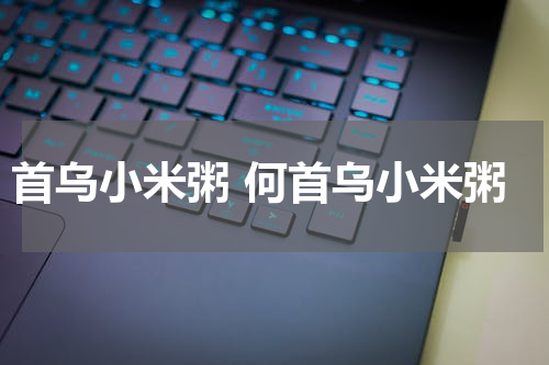 首乌小米粥 何首乌小米粥