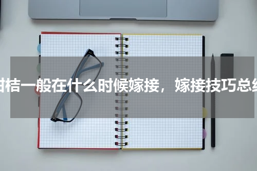 柑桔一般在什么时候嫁接，嫁接技巧总结