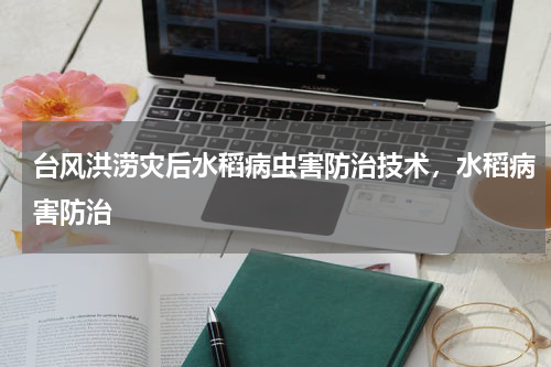 台风洪涝灾后水稻病虫害防治技术，水稻病害防治