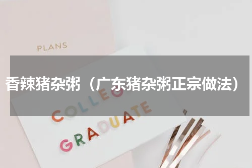 香辣猪杂粥（广东猪杂粥正宗做法）