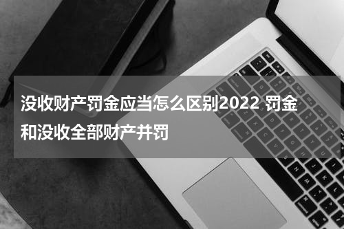 没收财产罚金应当怎么区别2022 罚金和没收全部财产并罚