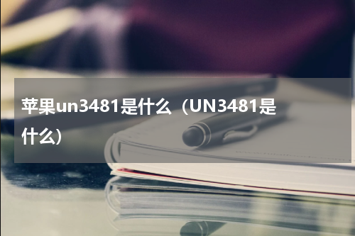苹果un3481是什么（UN3481是什么）