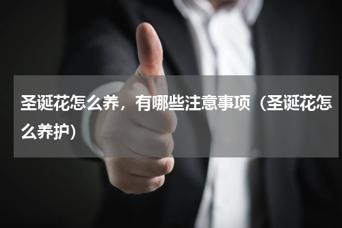 圣诞花怎么养，有哪些注意事项（圣诞花怎么养护）