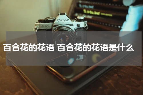 百合花的花语 百合花的花语是什么