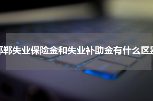 邯郸失业保险金和失业补助金有什么区别