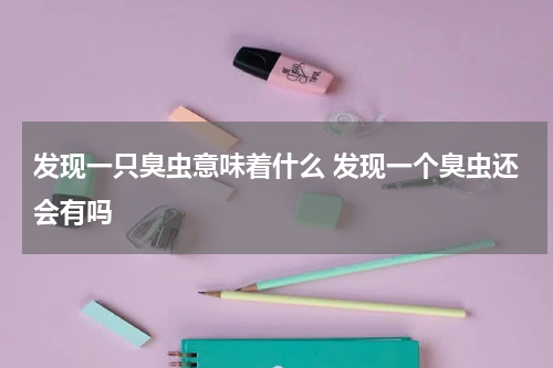 发现一只臭虫意味着什么 发现一个臭虫还会有吗