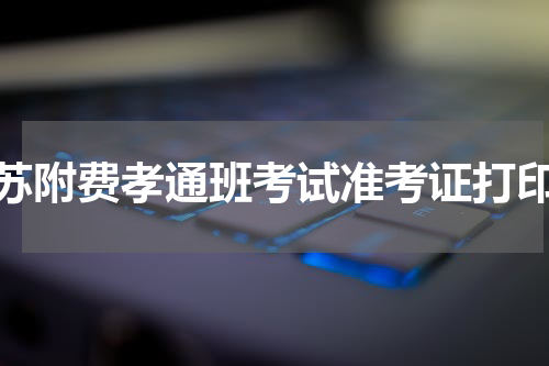 苏附费孝通班考试准考证打印