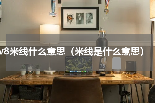 v8米线什么意思（米线是什么意思）