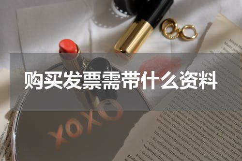 购买发票需带什么资料