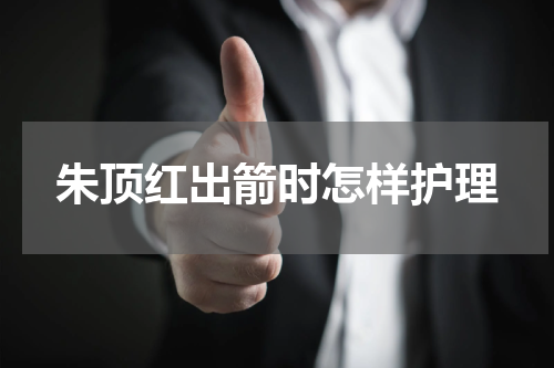 朱顶红出箭时怎样护理