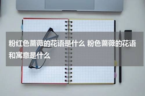 粉红色蔷薇的花语是什么 粉色蔷薇的花语和寓意是什么