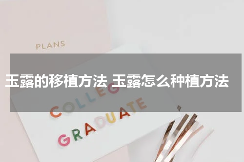玉露的移植方法 玉露怎么种植方法