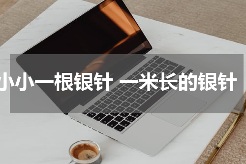 小小一根银针 一米长的银针