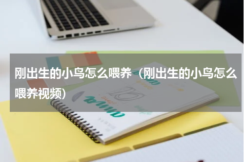 刚出生的小鸟怎么喂养（刚出生的小鸟怎么喂养视频）