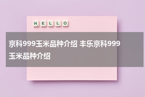 京科999玉米品种介绍 丰乐京科999玉米品种介绍