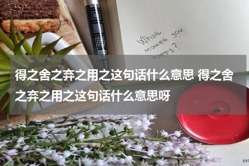 得之舍之弃之用之这句话什么意思 得之舍之弃之用之这句话什么意思呀