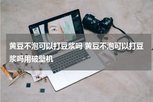 黄豆不泡可以打豆浆吗 黄豆不泡可以打豆浆吗用破壁机