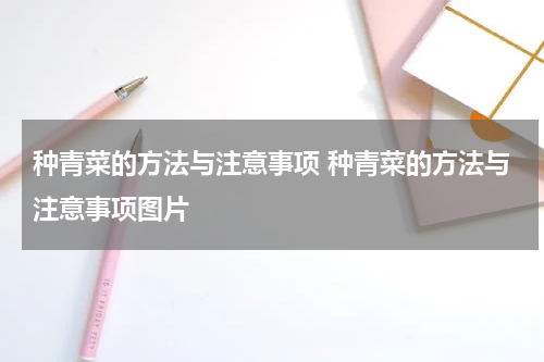 种青菜的方法与注意事项 种青菜的方法与注意事项图片