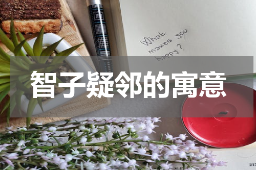 智子疑邻的寓意
