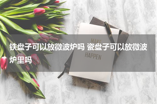 铁盘子可以放微波炉吗 瓷盘子可以放微波炉里吗