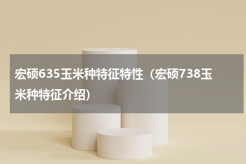 宏硕635玉米种特征特性（宏硕738玉米种特征介绍）
