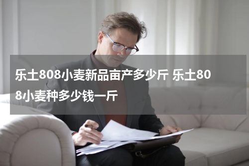 乐土808小麦新品亩产多少斤 乐土808小麦种多少钱一斤