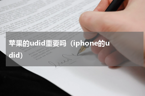 苹果的udid重要吗（iphone的udid）