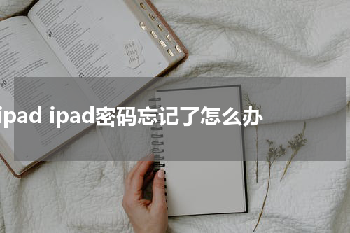 ipad ipad密码忘记了怎么办