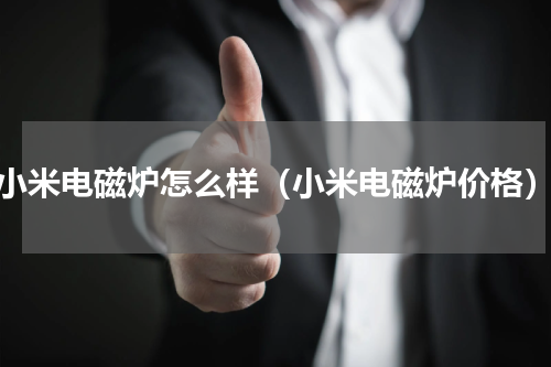 小米电磁炉怎么样（小米电磁炉价格）