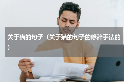 关于猫的句子（关于猫的句子的修辞手法的）