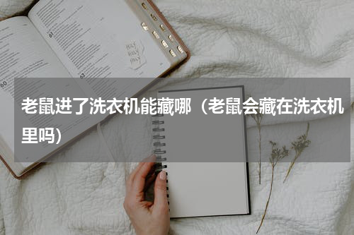老鼠进了洗衣机能藏哪（老鼠会藏在洗衣机里吗）