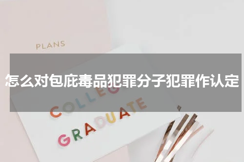 怎么对包庇毒品犯罪分子犯罪作认定