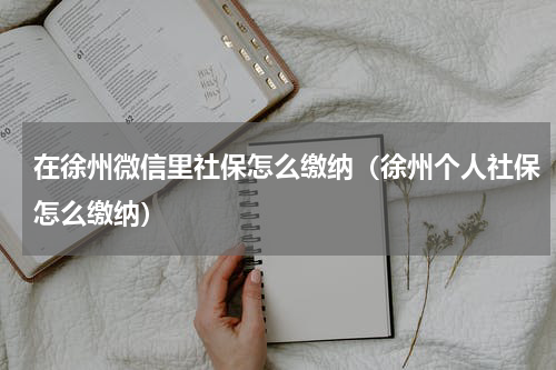 在徐州微信里社保怎么缴纳（徐州个人社保怎么缴纳）