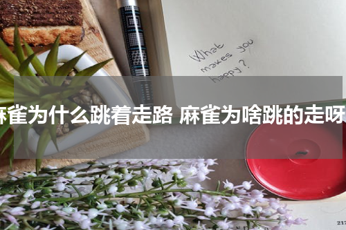 麻雀为什么跳着走路 麻雀为啥跳的走呀