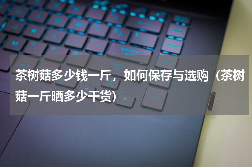 茶树菇多少钱一斤，如何保存与选购（茶树菇一斤晒多少干货）