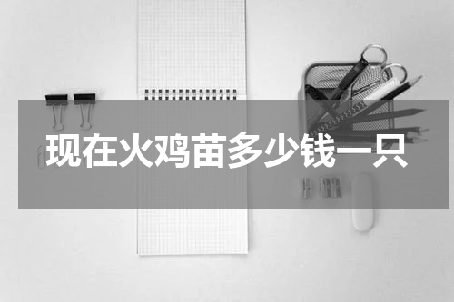 现在火鸡苗多少钱一只