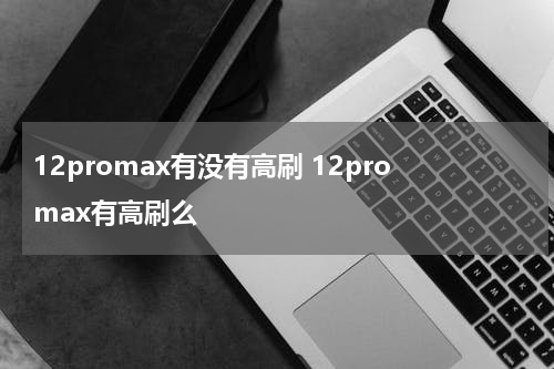 12promax有没有高刷 12promax有高刷么