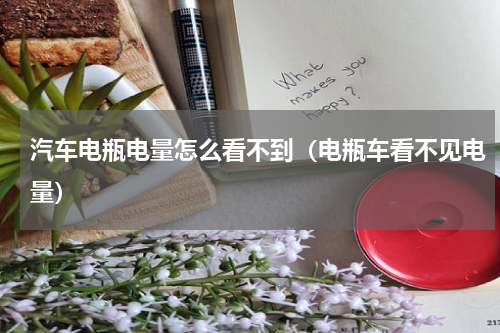 汽车电瓶电量怎么看不到（电瓶车看不见电量）