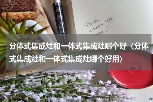 分体式集成灶和一体式集成灶哪个好（分体式集成灶和一体式集成灶哪个好用）